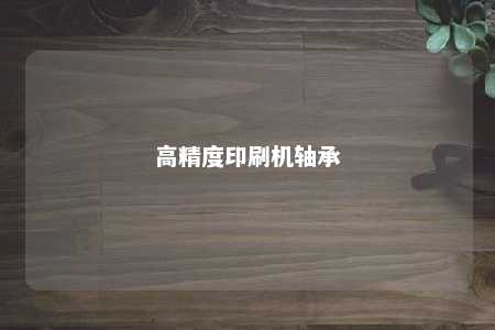 高精度印刷机轴承 